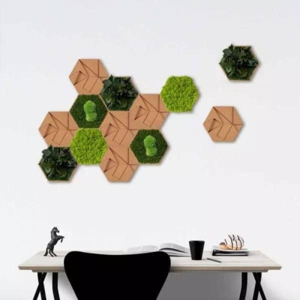 Moos Hexagon 5er Set am Schreibtisch