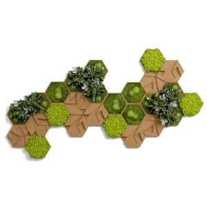 Moos Kork Hexagon 25er Set