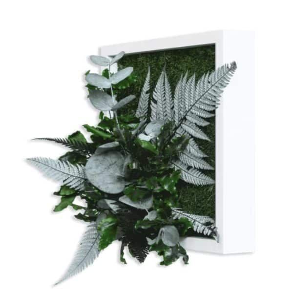 Pflanzenbild im Dschungeldesign 22x22cm Vollholz (weiß) Pflanzenbild im Dschungeldesign 22x22cm Vollholz (weiß) Pflanzenbild im Dschungeldesign 22x22cm Vollholz