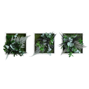Pflanzenbild im Dschungeldesign 22x22cm 3er Set Vollholz (weiß) Pflanzenbild im Dschungeldesign 22x22cm 3er Set