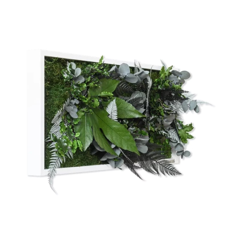 Pflanzenbild im Dschungeldesign 57x27cm Vollholz (weiß)