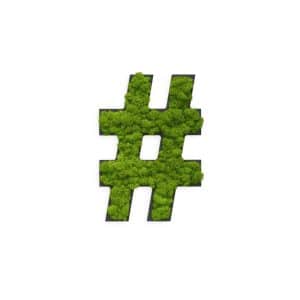 Piktogramm: Sonderzeichen "hashtag" Islandmoos